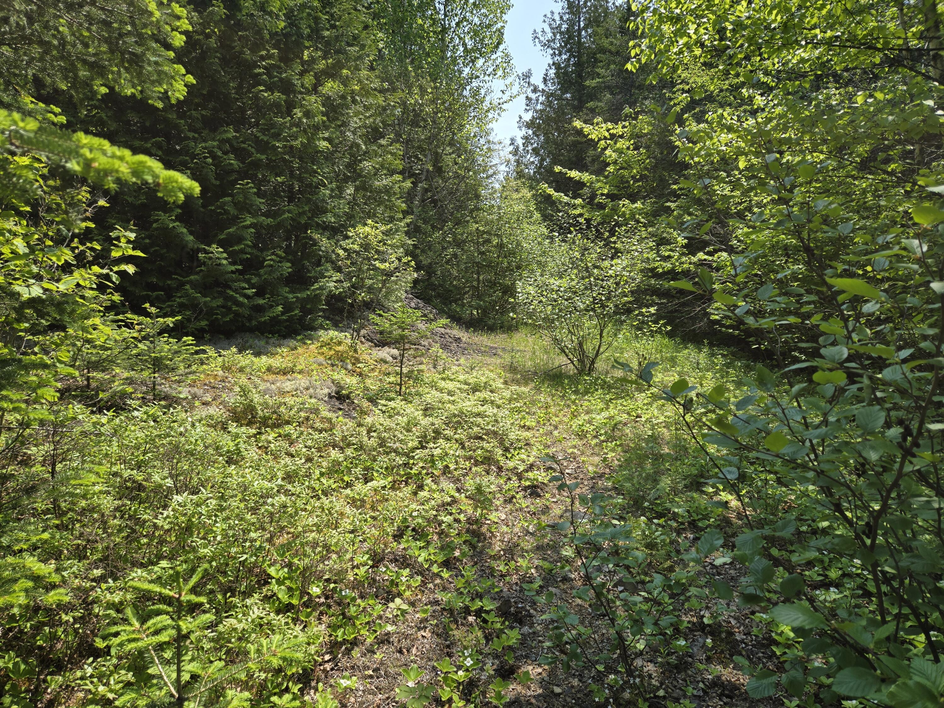 0 Map Wa032 Plan 01 Lubec, ME 04652 - Photo 30 of 36 20250605_112720