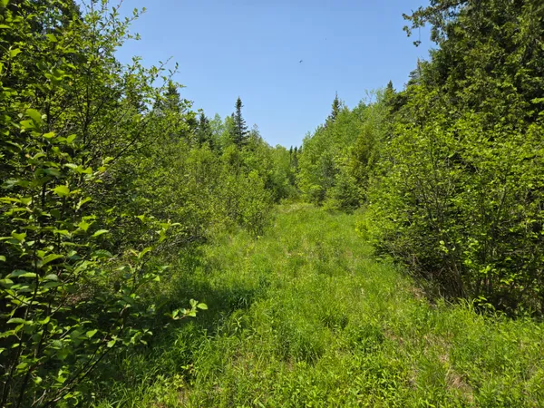 $115,000 | 0 Map Wa032 Plan 01, Lubec, ME 04652