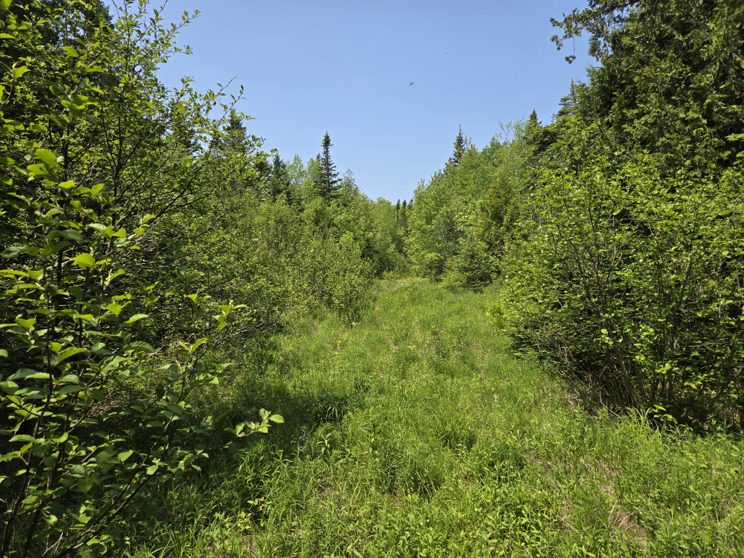 0 Map Wa032 Plan 01 Lubec, ME 04652 - Photo 31 of 36 20250605_112814