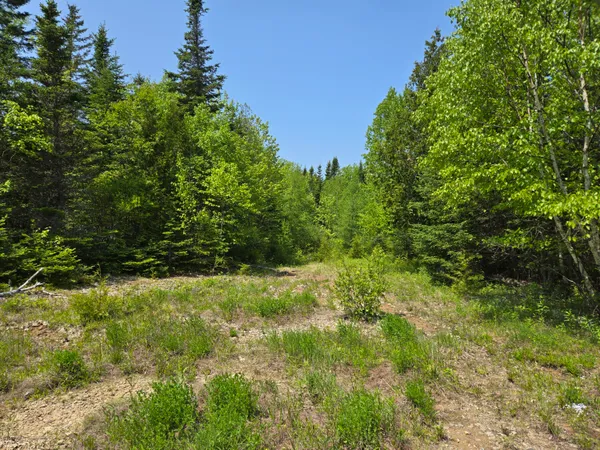 $115,000 | 0 Map Wa032 Plan 01, Lubec, ME 04652