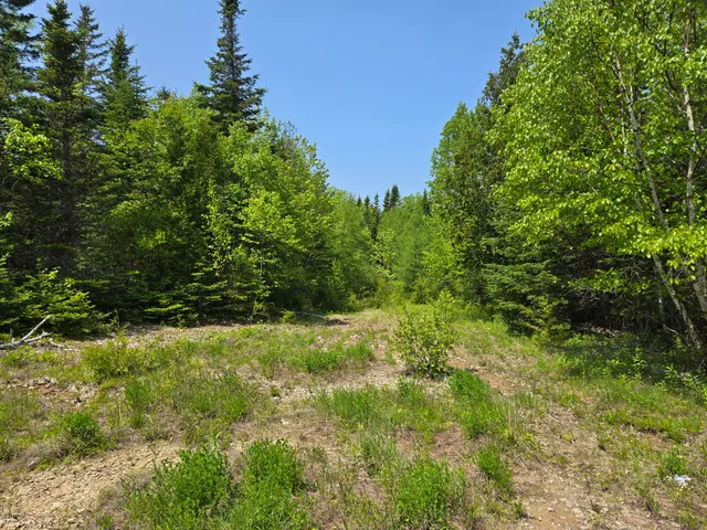 $115,000 | 0 Map Wa032 Plan 01, Lubec, ME 04652