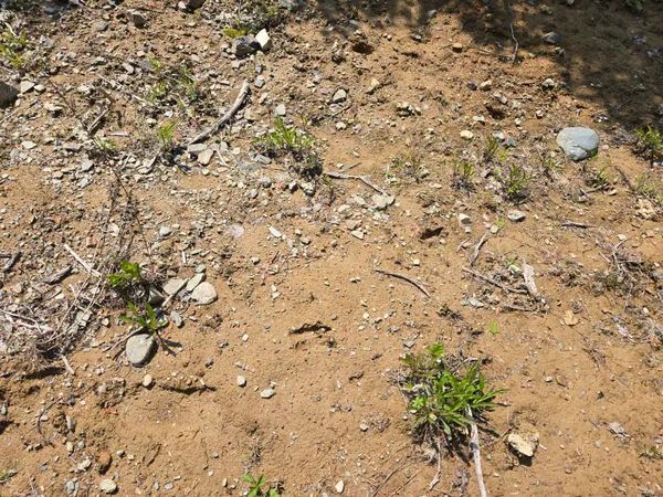 $115,000 | 0 Map Wa032 Plan 01, Lubec, ME 04652