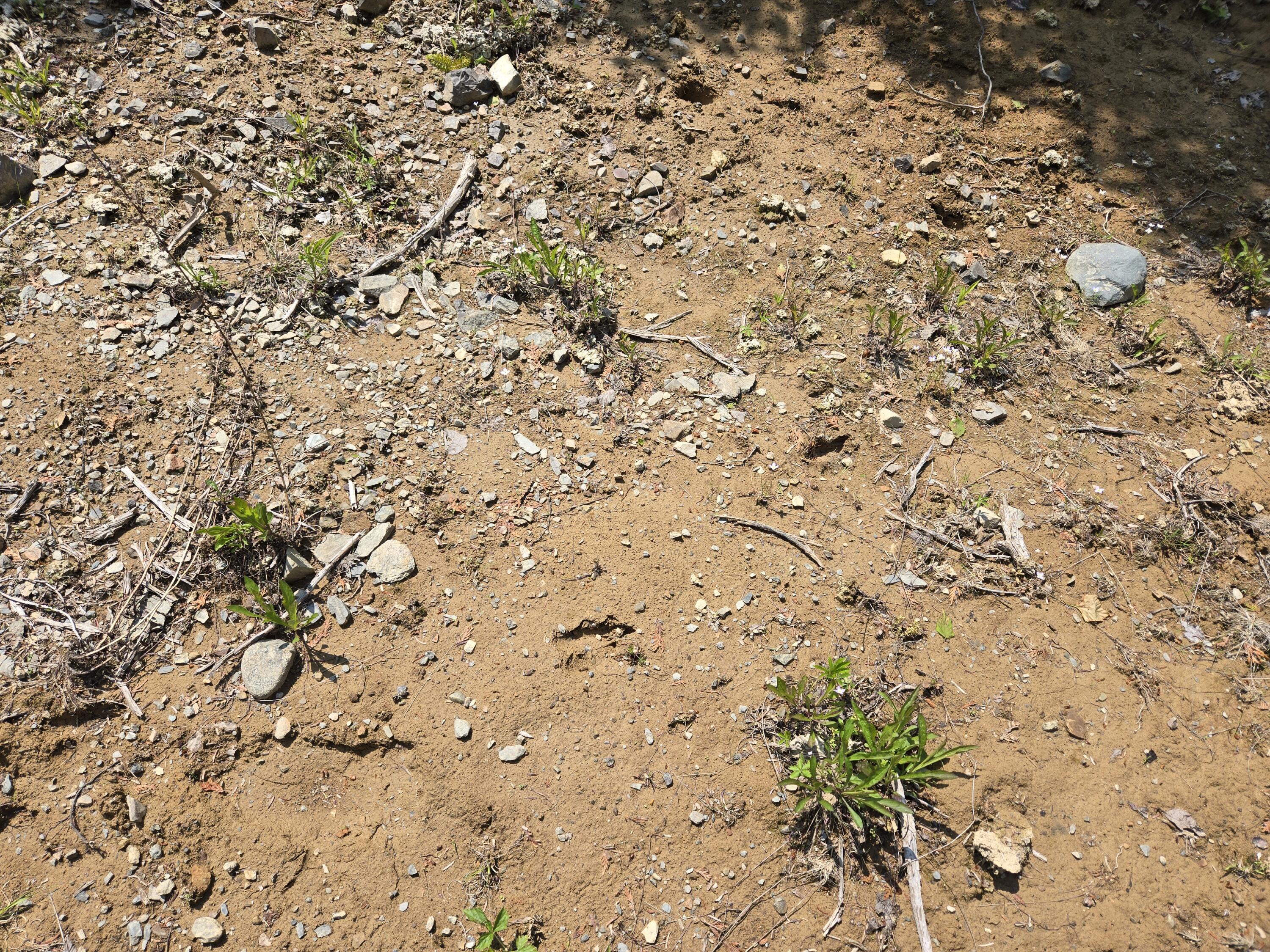 0 Map Wa032 Plan 01 Lubec, ME 04652 - Photo 33 of 36 20250605_112951