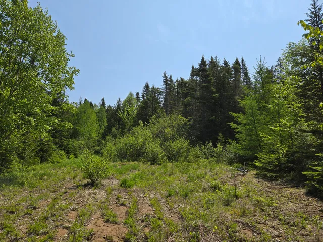 $115,000 | 0 Map Wa032 Plan 01, Lubec, ME 04652