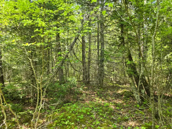 $115,000 | 0 Map Wa032 Plan 01, Lubec, ME 04652
