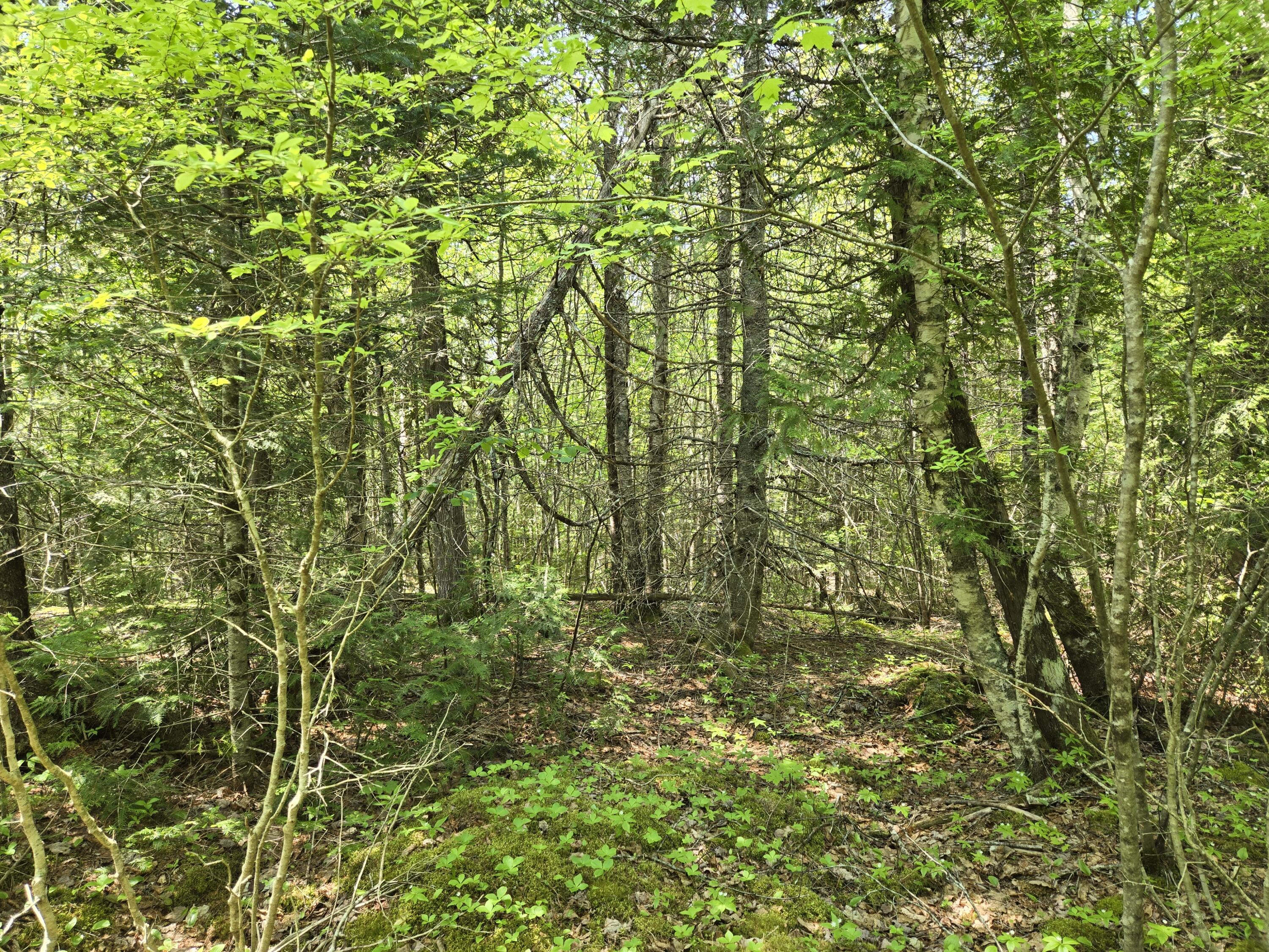 0 Map Wa032 Plan 01 Lubec, ME 04652 - Photo 35 of 36 20250605_113103