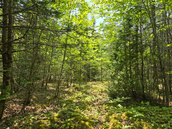 $115,000 | 0 Map Wa032 Plan 01, Lubec, ME 04652