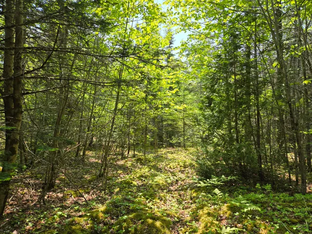 $115,000 | 0 Map Wa032 Plan 01, Lubec, ME 04652