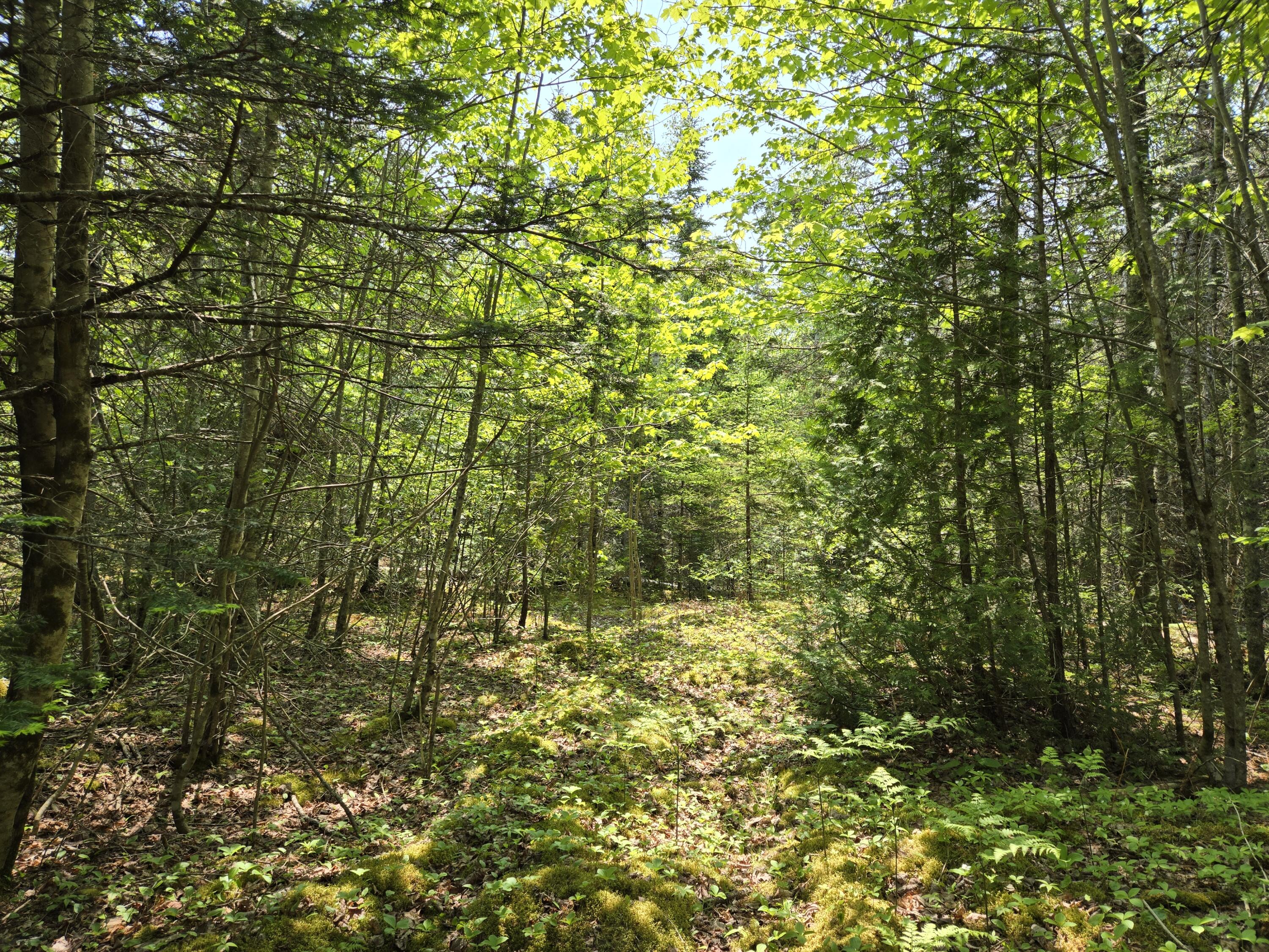 0 Map Wa032 Plan 01 Lubec, ME 04652 - Photo 36 of 36 20250605_113106