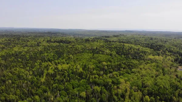 $115,000 | 0 Map Wa032 Plan 01, Lubec, ME 04652