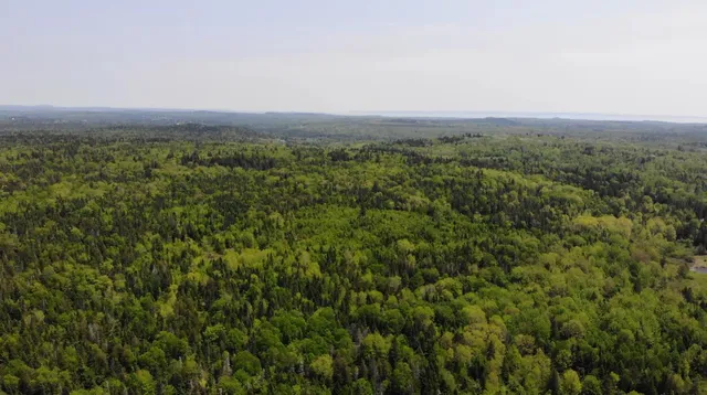 $115,000 | 0 Map Wa032 Plan 01, Lubec, ME 04652