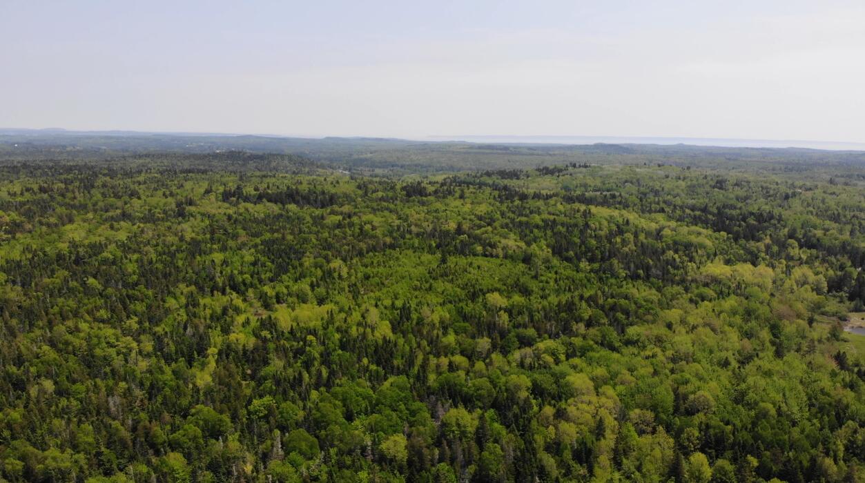 0 Map Wa032 Plan 01 Lubec, ME 04652 - Photo 4 of 36 Screenshot 2025-06-06 084428