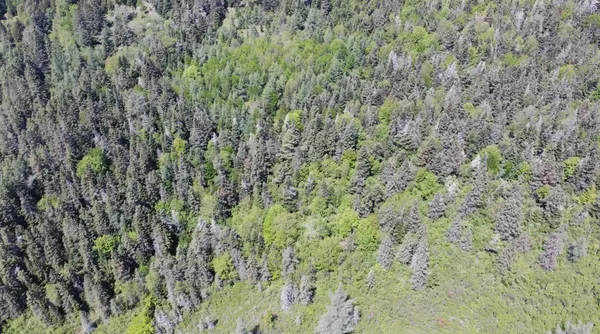 $115,000 | 0 Map Wa032 Plan 01, Lubec, ME 04652