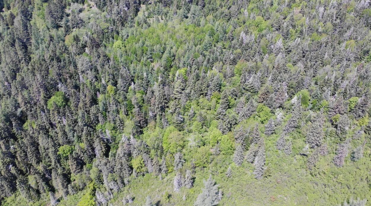 0 Map Wa032 Plan 01 Lubec, ME 04652 - Photo 6 of 36 Screenshot 2025-06-06 084705