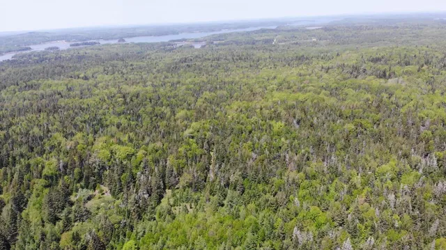 $115,000 | 0 Map Wa032 Plan 01, Lubec, ME 04652