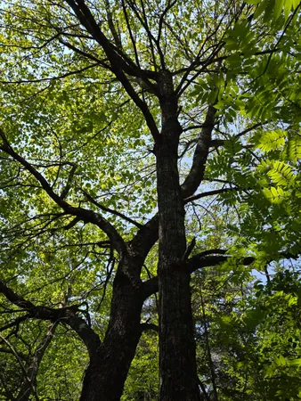 $115,000 | 0 Map Wa032 Plan 01, Lubec, ME 04652