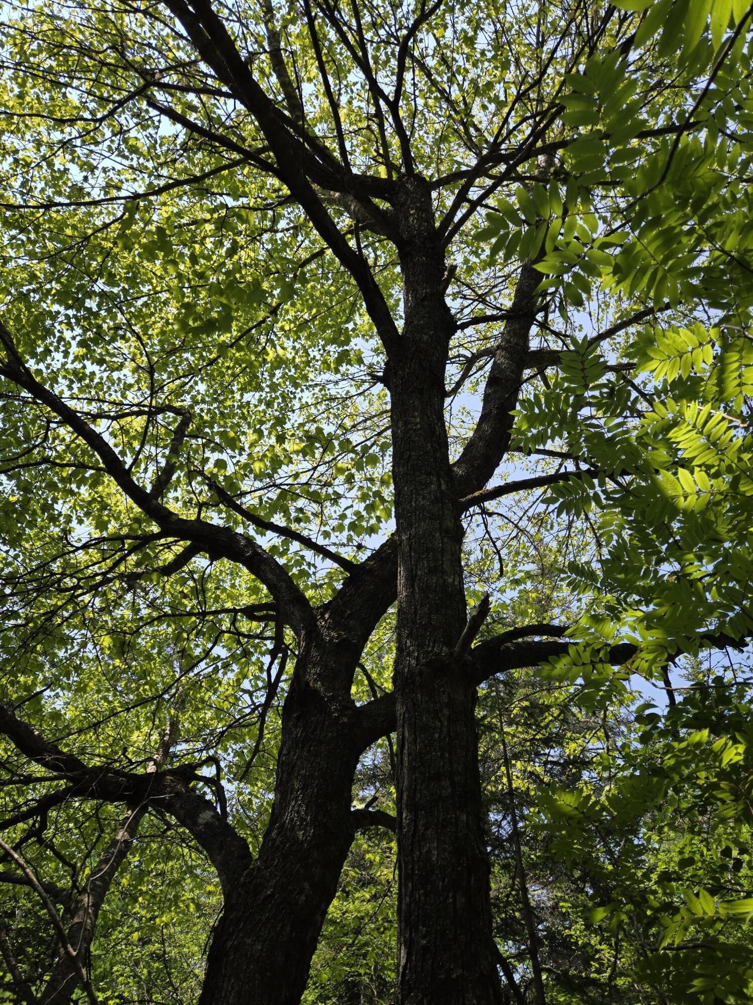 0 Map Wa032 Plan 01 Lubec, ME 04652 - Photo 8 of 36 20250605_115334