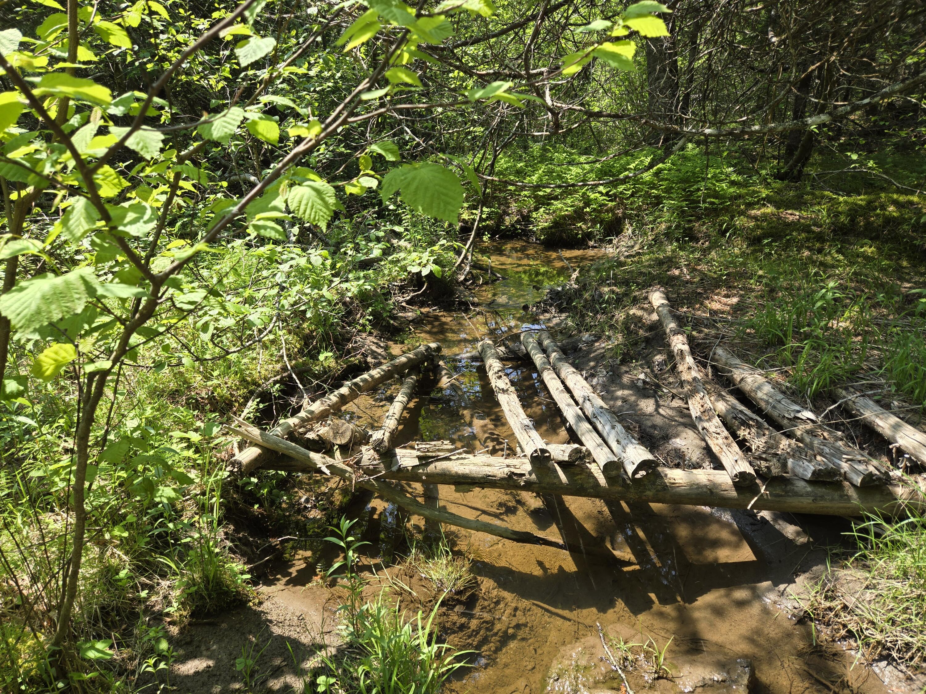 0 Map Wa032 Plan 01 Lubec, ME 04652 - Photo 9 of 36 20250605_113956