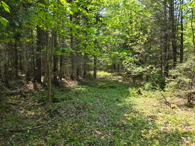 $115,000 | 0 Map Wa032 Plan 01, Lubec, ME 04652