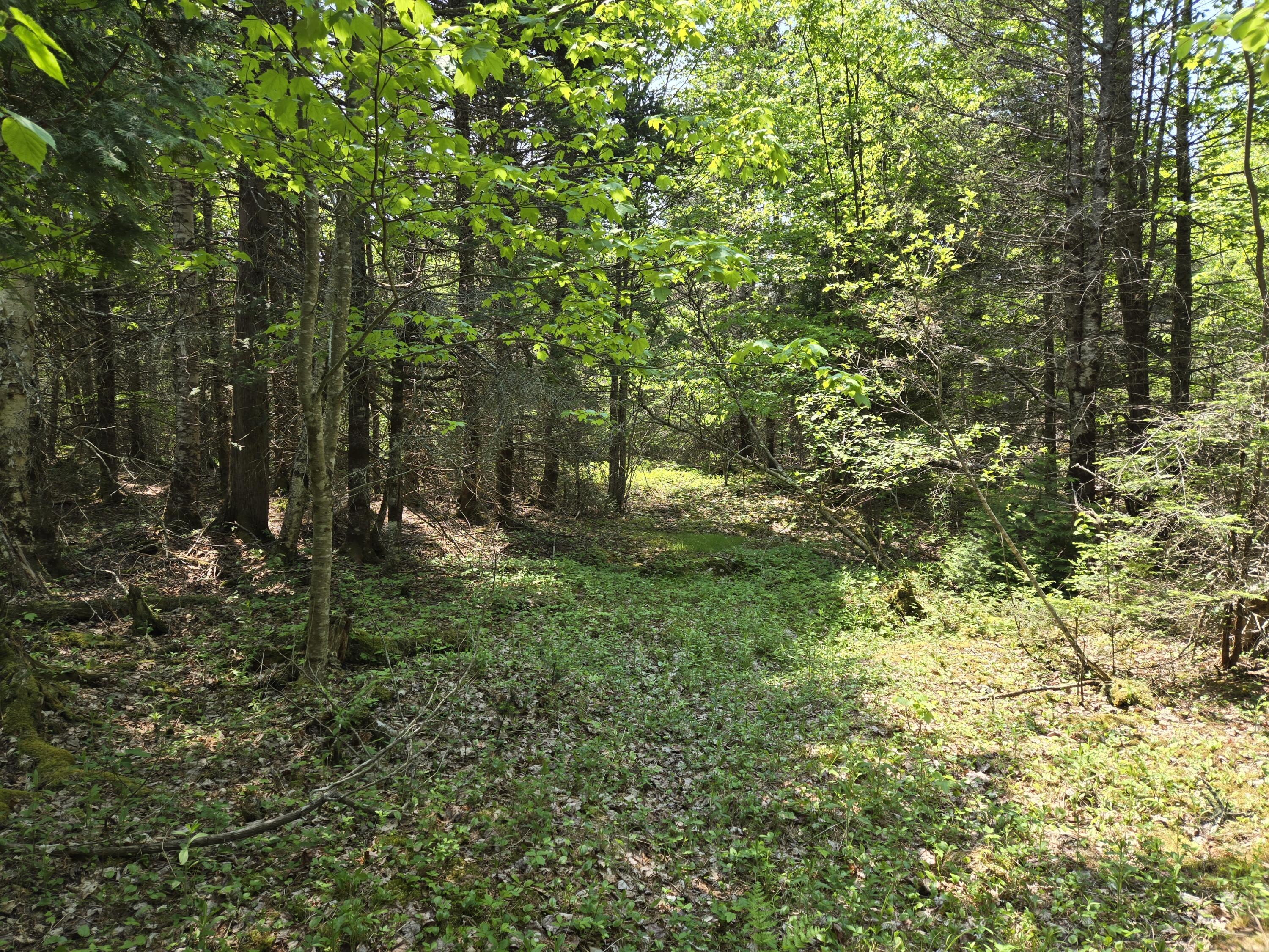 0 Map Wa032 Plan 01 Lubec, ME 04652 - Photo 10 of 36 20250605_113806