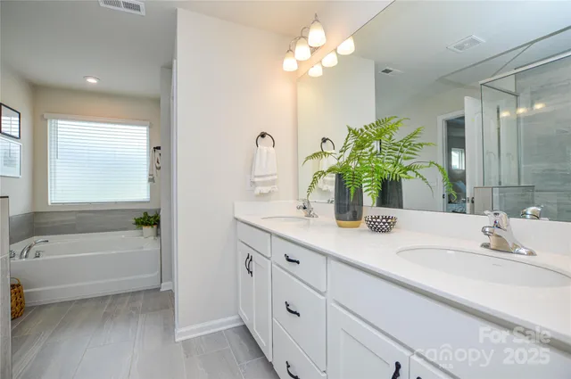a bathroom with a tub a sink and a large mirror
