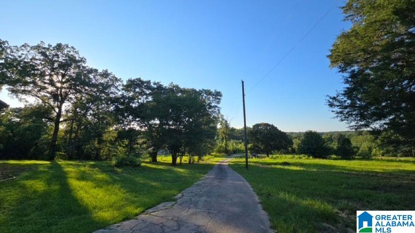 1663 County Road 2 Montevallo, AL 35115 - Photo 31 of 46