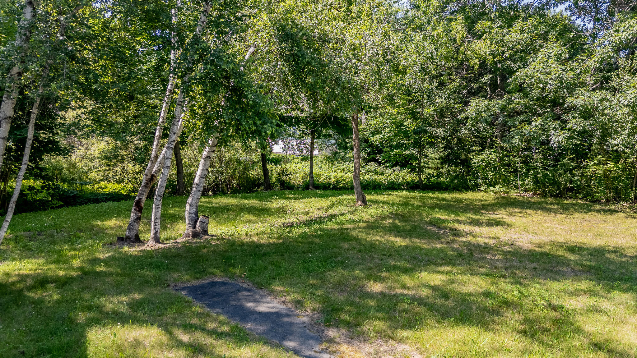 28 Albert Street Milo, ME 04463 - Photo 30 of 35 dji_fly_20260701_104202_0076_17829449884