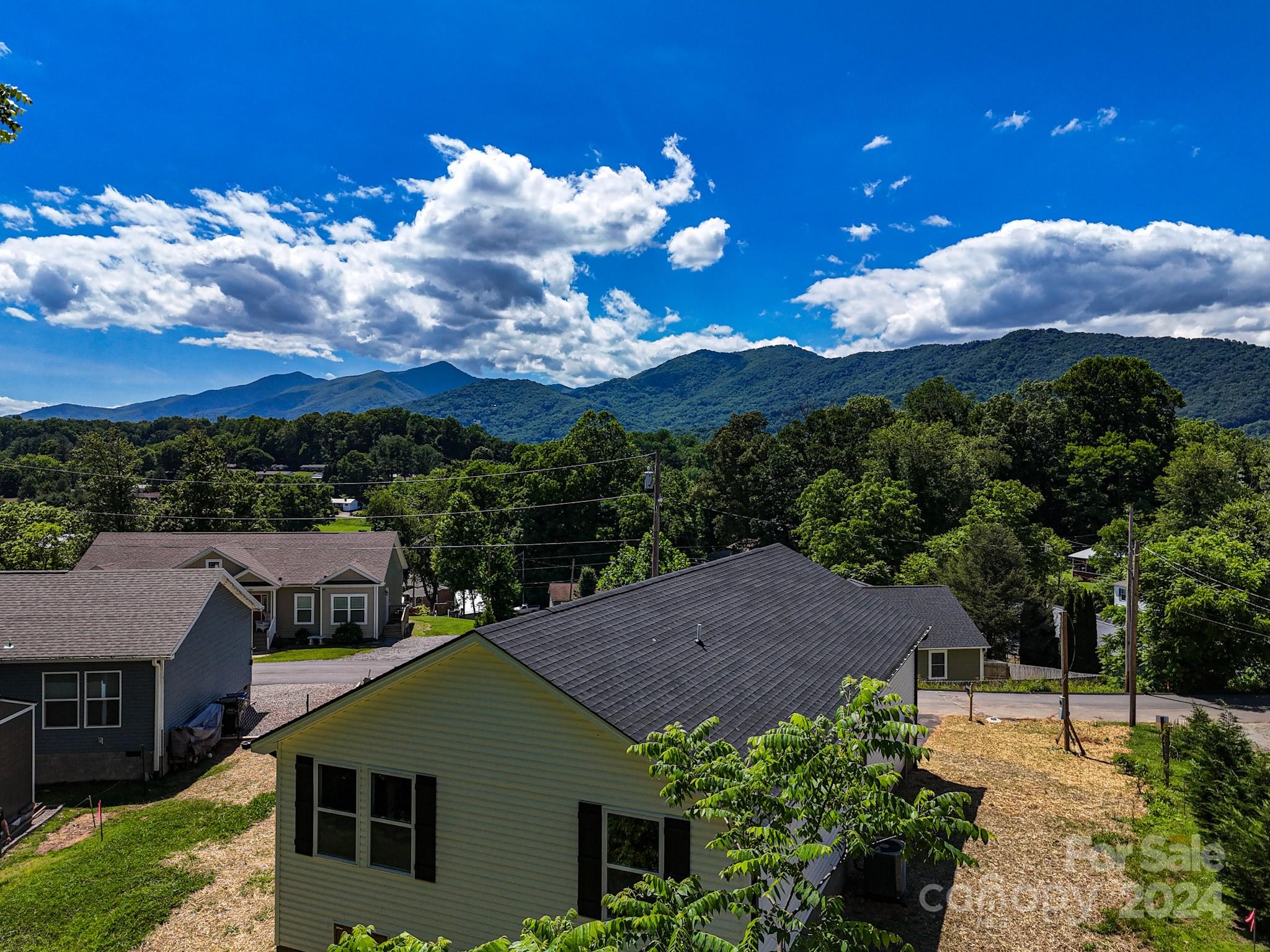 130 Craven Road Waynesville, NC 28786 - Photo 3 of 43 Gallery Image 3