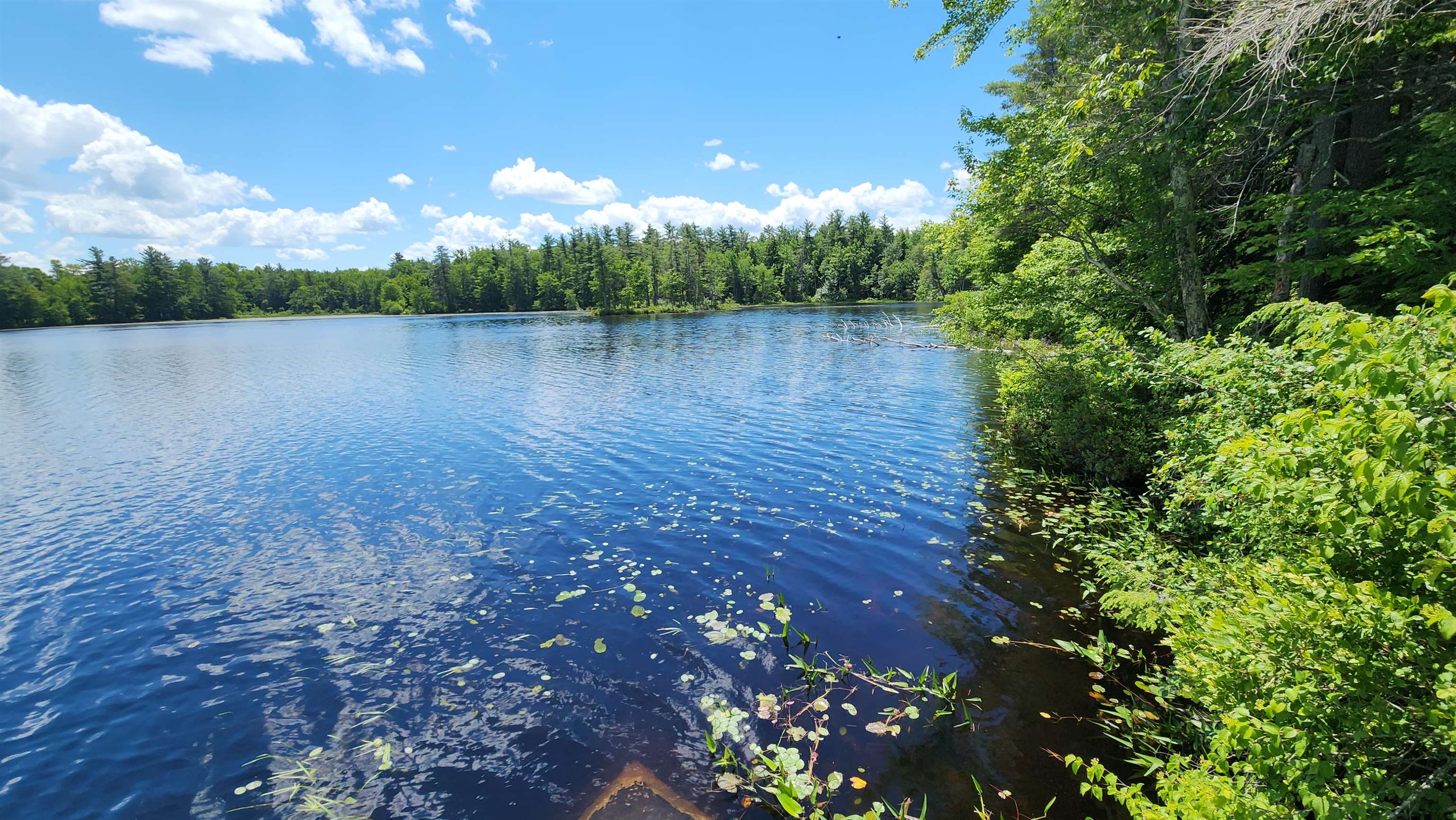 36 Johnson Road Fitzwilliam, NH 03447 - Photo 6 of 54