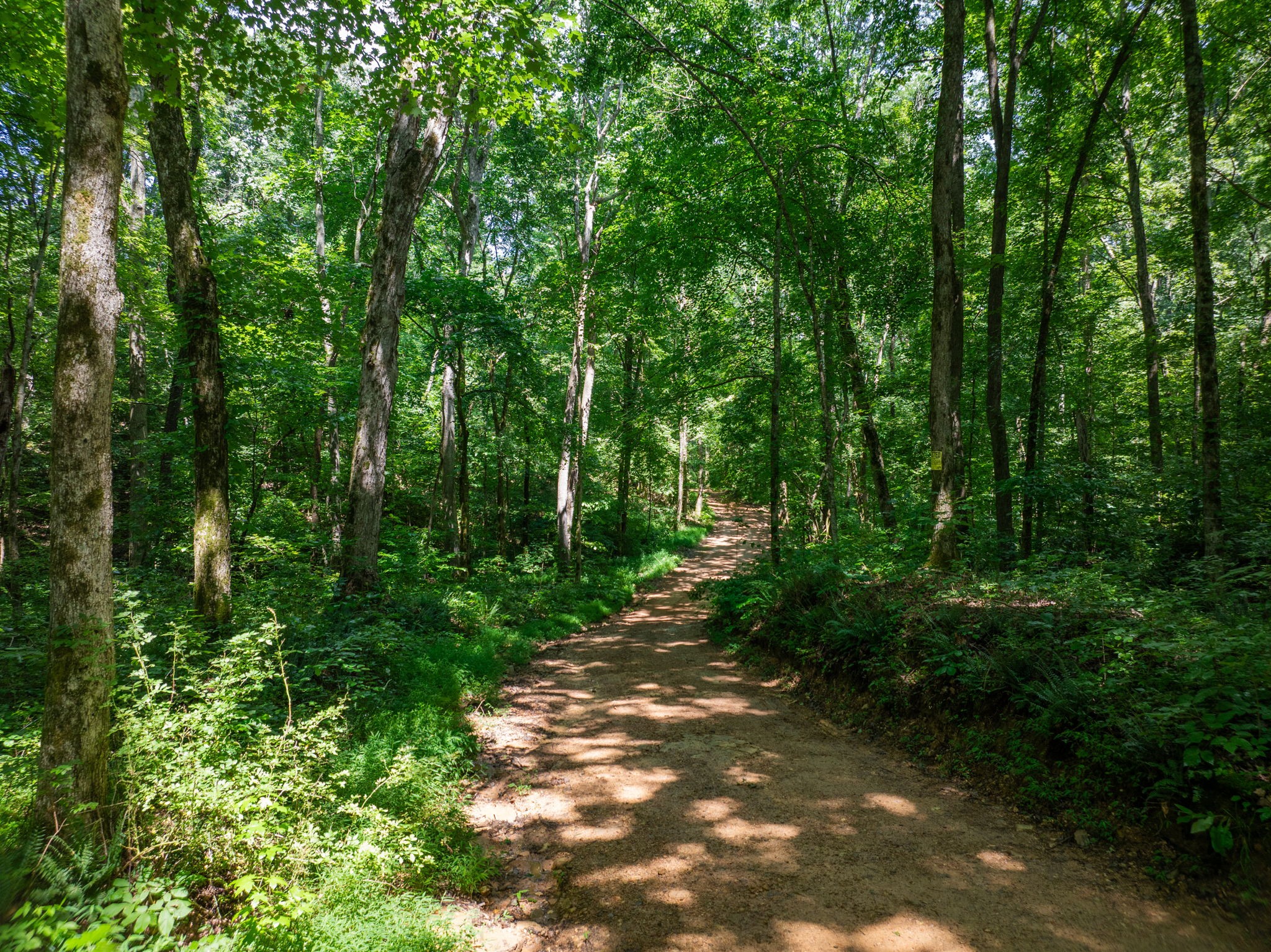 0 Barren Fork Bridge Road Bon Aqua, TN 37025 - Photo 12 of 28