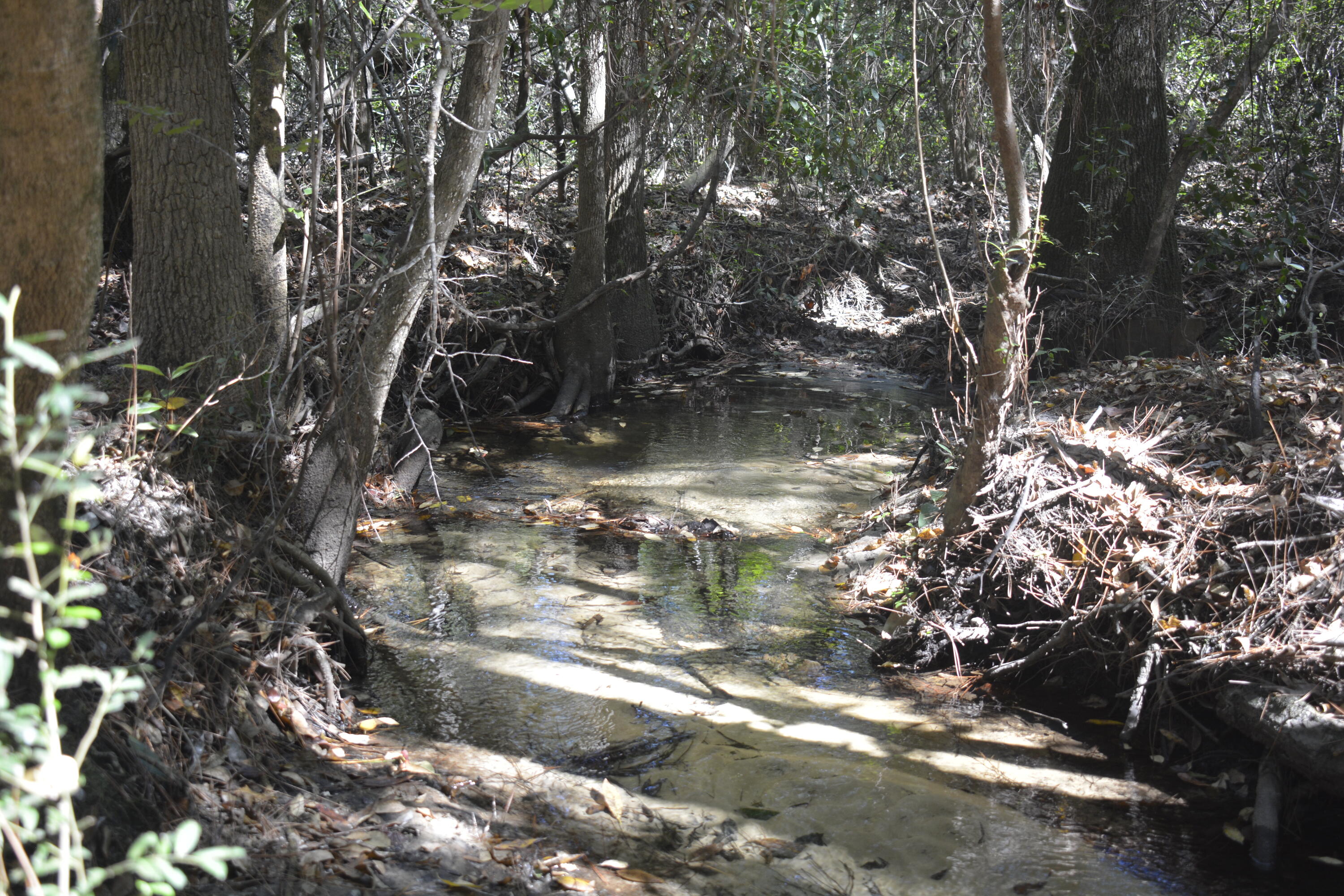 2928 Aplin Road Crestview, FL 32539 - Photo 18 of 21