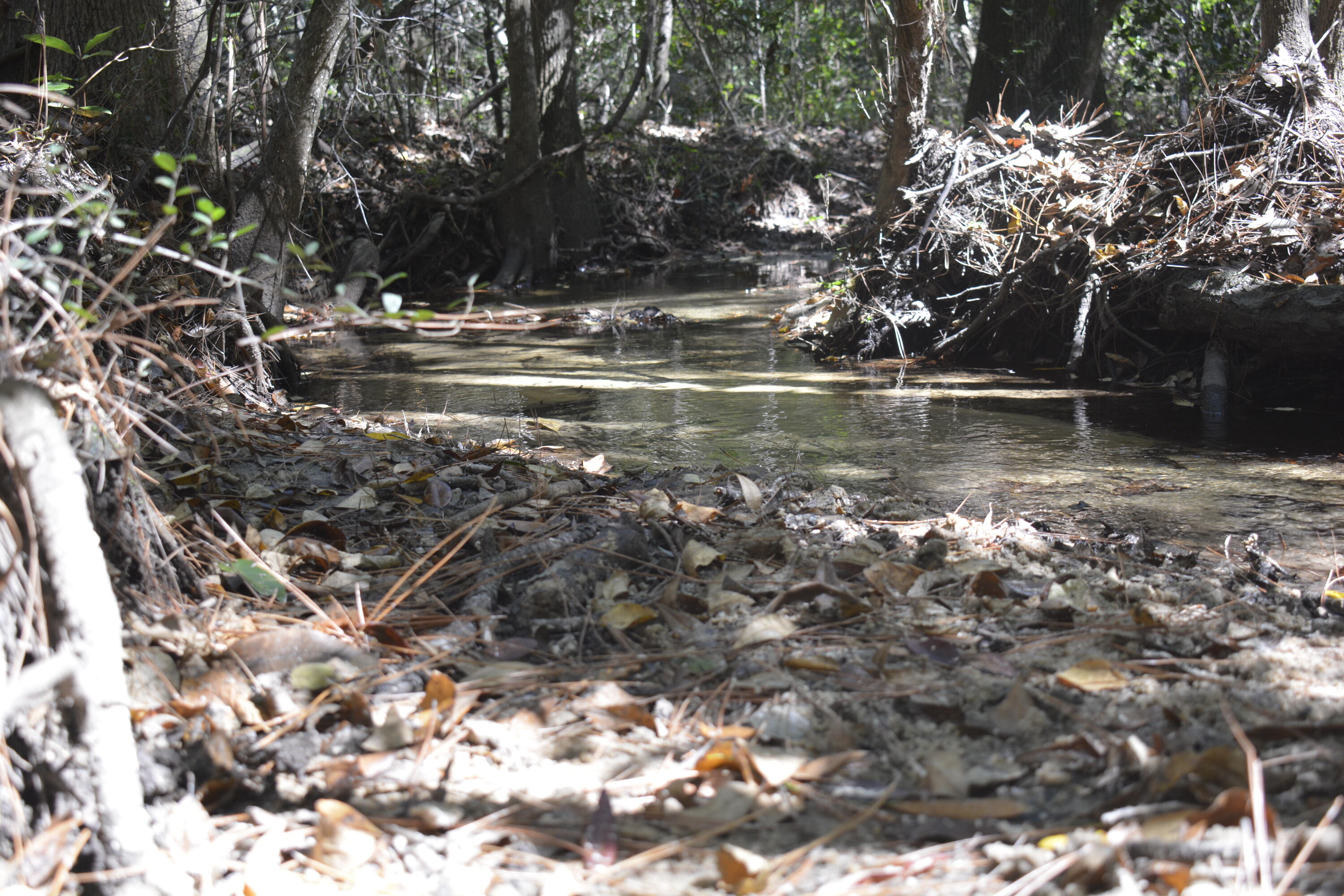 2928 Aplin Road Crestview, FL 32539 - Photo 19 of 21 a view of water with trees in the background