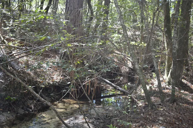 $950,000 | 2928 Aplin Road, Crestview, FL 32539