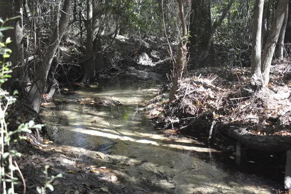 a view of outdoor space with trees