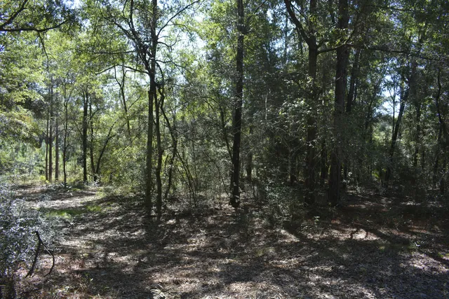 $950,000 | 2928 Aplin Road, Crestview, FL 32539