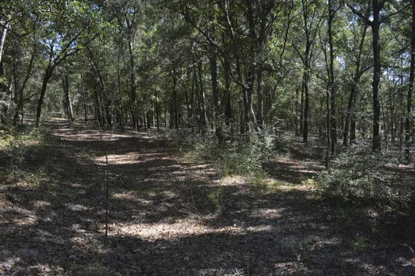 a view of outdoor space with trees