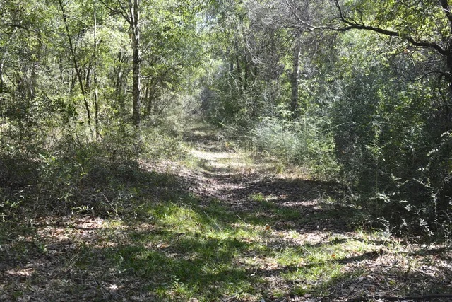 a view of outdoor space and trees