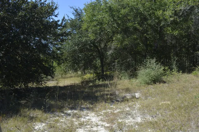 $950,000 | 2928 Aplin Road, Crestview, FL 32539