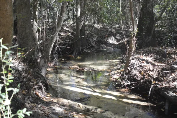 a backyard of a house