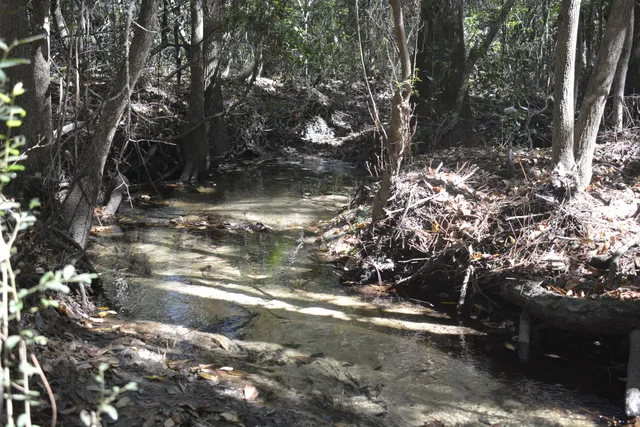a view of outdoor space with trees