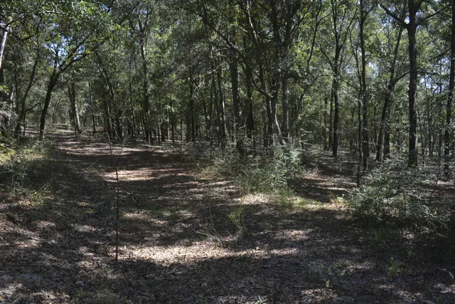 a view of outdoor space with trees