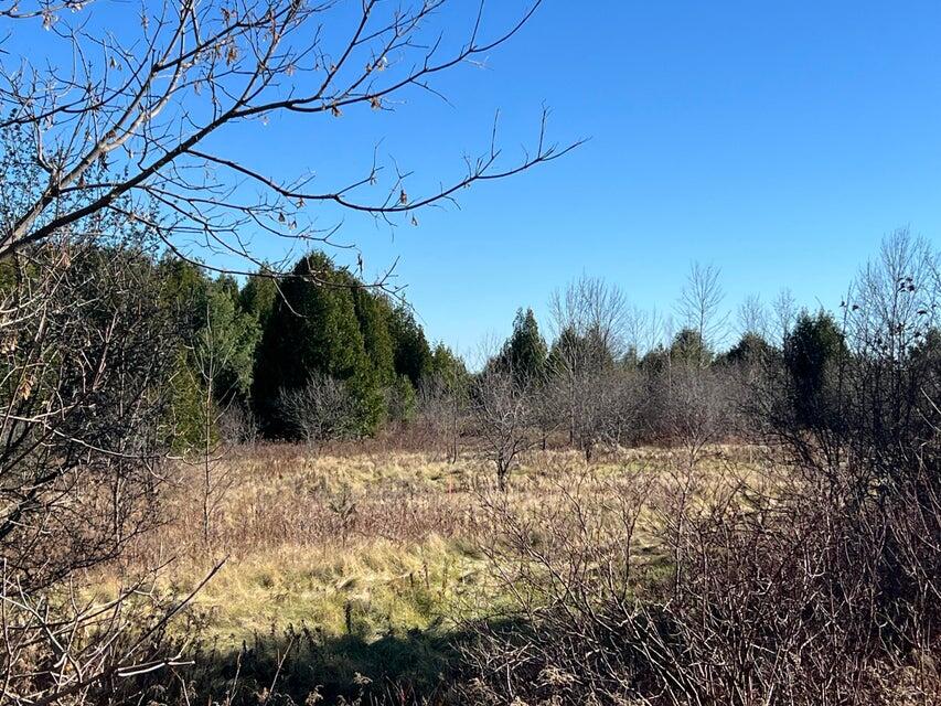 . Ketcham Bridge Road West Chazy, NY 12992 - Photo 5 of 12 20241115113026855757000000-o