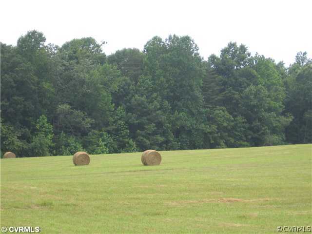 0 Jericho Road Ruther Glen, VA 22546 - Photo 1 of 1 Land/Lot