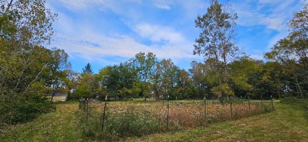 0 Lemon Road Bancroft, MI 48414 - Photo 3 of 16 Gallery Image 3