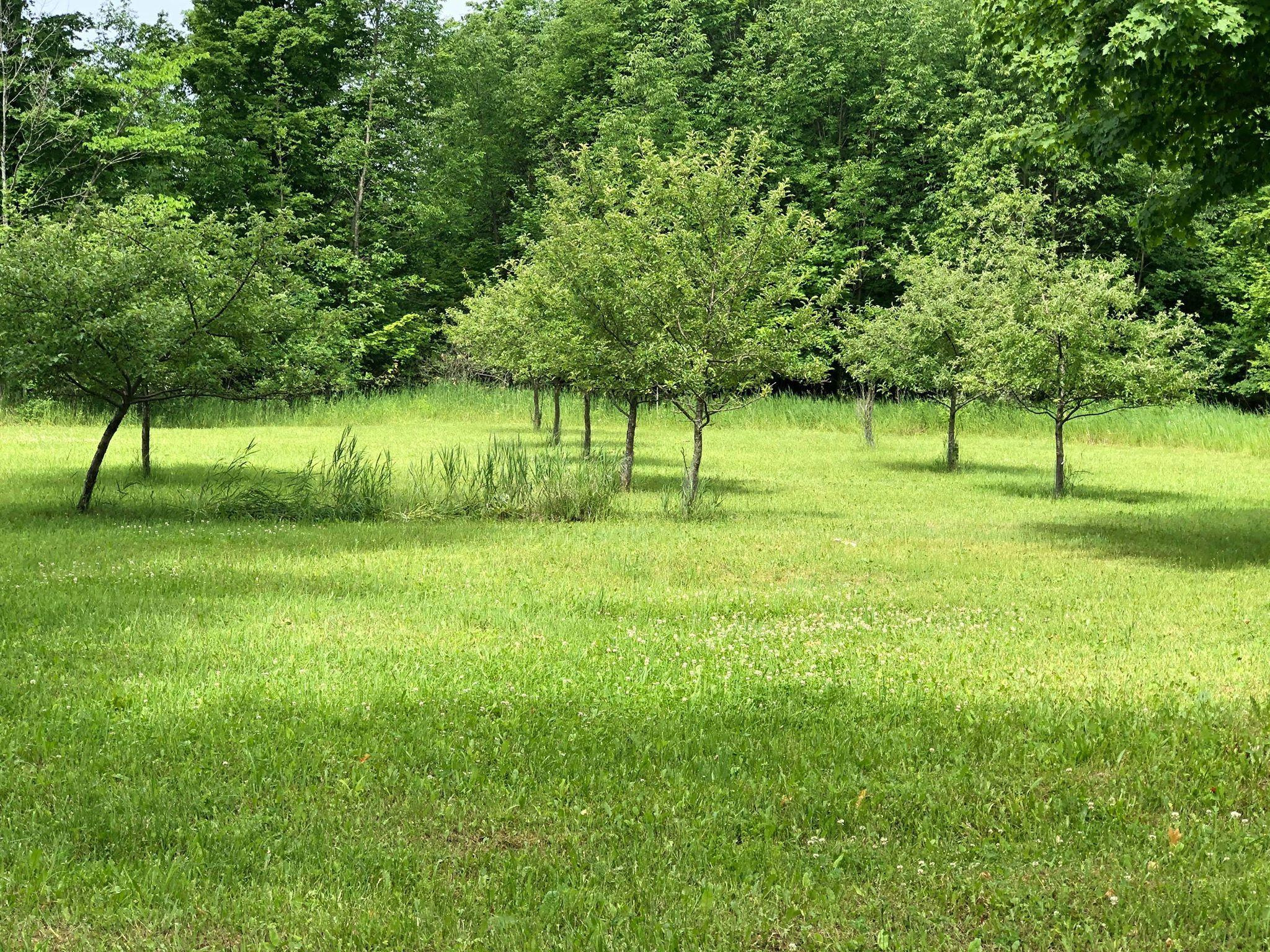 9660 Leer Road Posen, MI 49776 - Photo 26 of 34 Gallery Image 26