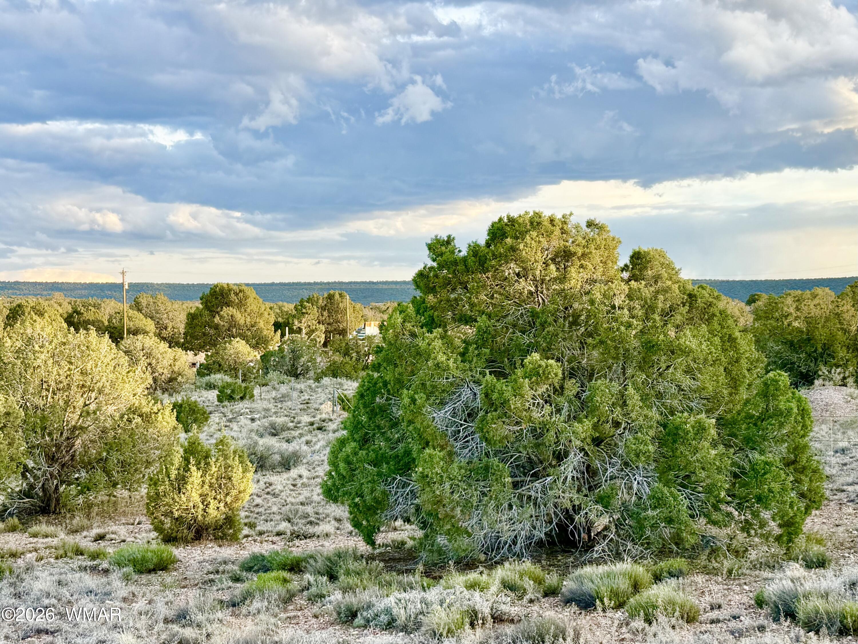 4428 Colt Road Snowflake, AZ 85937 - Photo 10 of 22 IMG_6160