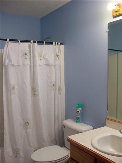 9735 Towner Road Portland, MI 48875 - Photo 16 of 24 Additional Photo