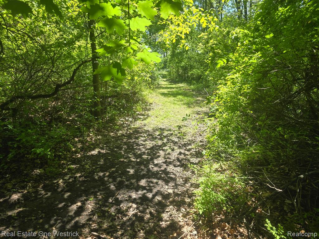 9236 North River Road Algonac, MI 48001 - Photo 28 of 31
