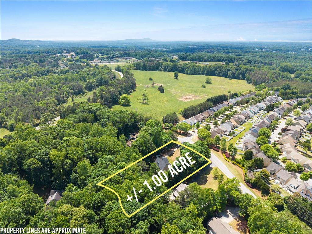 1061 Carlisle Road Dawsonville, GA 30534 - Photo 47 of 48