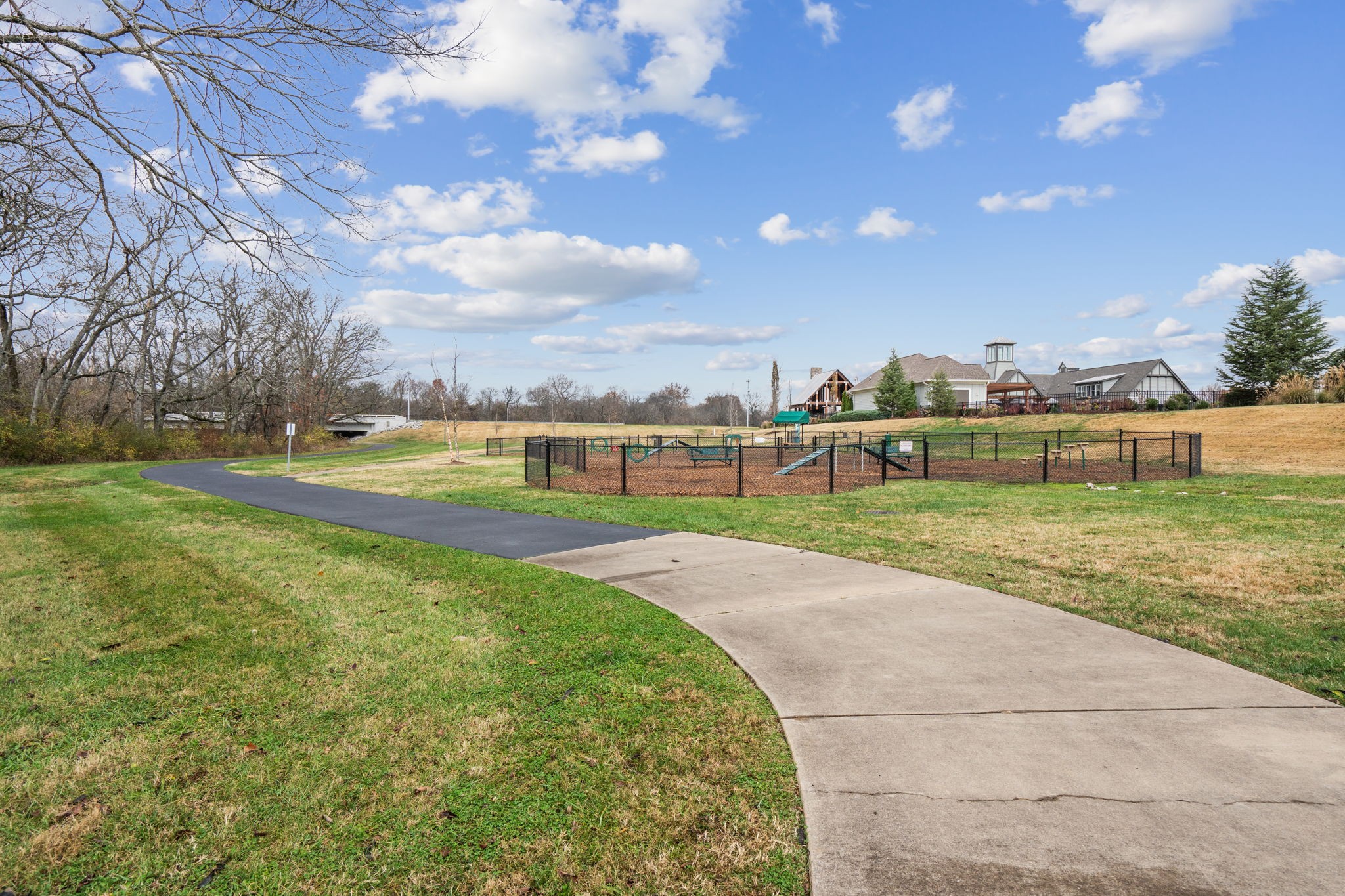 847 Plowson Road Mount Juliet, TN 37122 - Photo 45 of 56 a view of a big yard with a large trees
